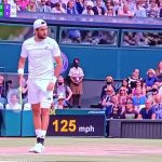 berrettini-tennis